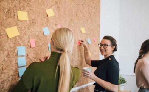 Mentorship Model